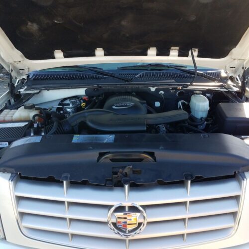 1D8221_7 Used 2004 Cadillac Escalade Carpet Front