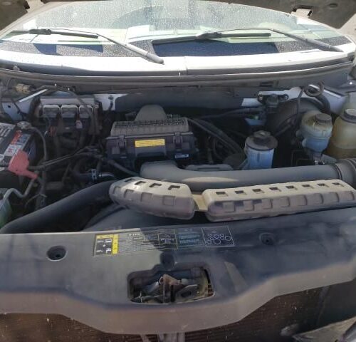 1K8309_8 Used 2004 Ford F-150 Decklid Tailgate