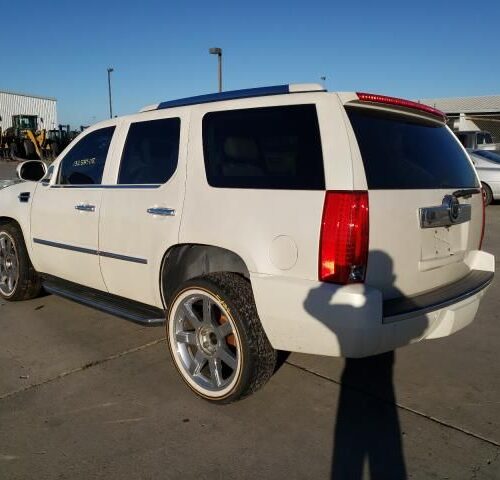 1L8330_5 Used 2008 Cadillac Escalade Air Bag RH 15883207