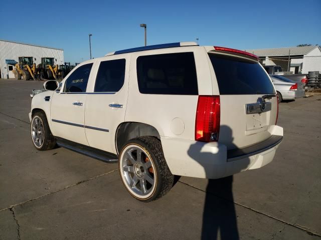 1L8330_5 Used 2008 Cadillac Escalade Air Bag RH 15883207