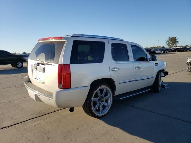 1L8330_8 Used 2008 Cadillac Escalade Air Bag RH 15883207
