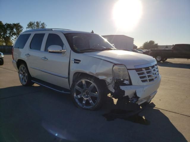 1L8330_9 Used 2008 Cadillac Escalade Air Bag RH 15883207