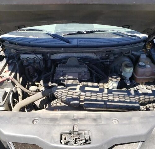 Used 2006 Ford F-150 Door Assembly Rear Side RH