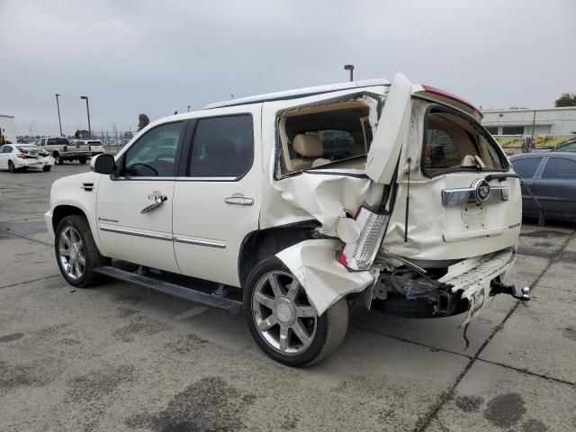 3K8617_4 Used 2008 Cadillac Escalade Tail Lamp RH