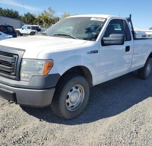 Used 2014 Ford F-150 Hood