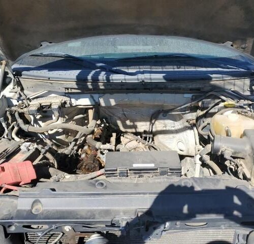 Used 2014 Ford F-150 Hood