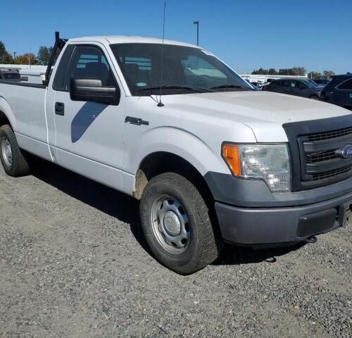 Used 2014 Ford F-150 Hood