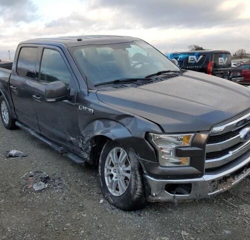 4B8657_11 Used 2016 Ford F-150 Decklid Tailgate