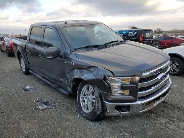 4B8657_11 Used 2016 Ford F-150 Decklid Tailgate