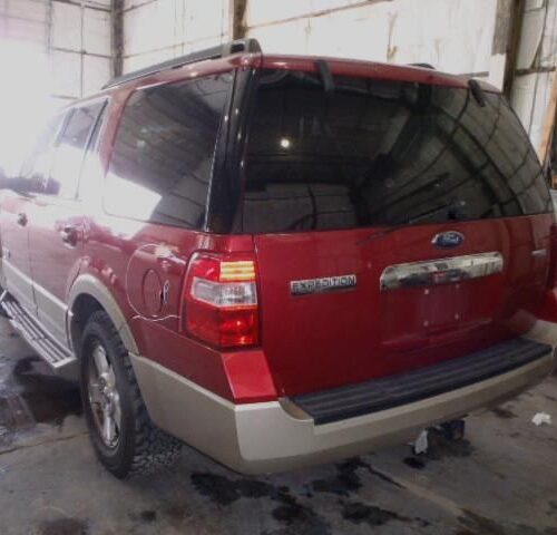 4D6905_0 Used 2007 Ford Expedition Decklid Tailgate