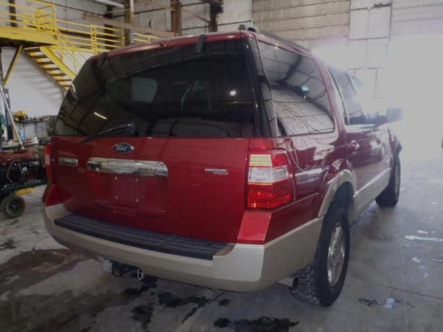 4D6905_4 Used 2007 Ford Expedition Decklid Tailgate