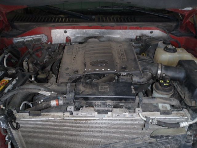 4D6905_7 Used 2007 Ford Expedition Decklid Tailgate