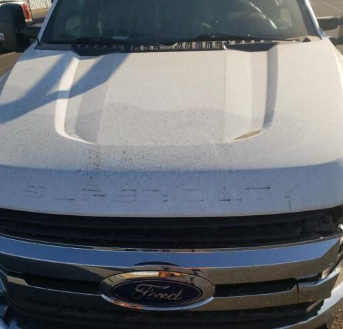 4F8709_5 Used 2019 Ford F-250 Super Duty Emblem