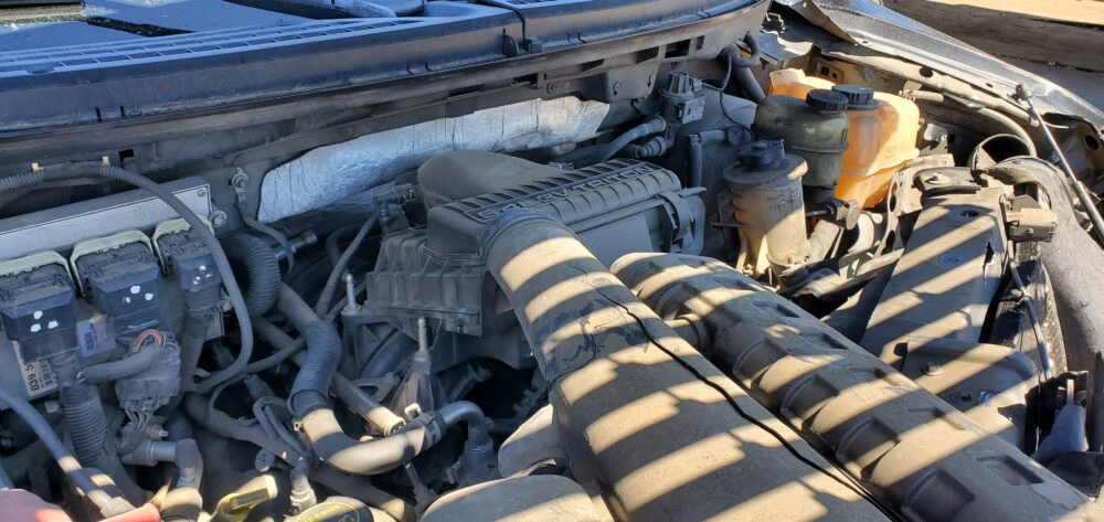 4H8724_2 Used 2006 Ford F-150 Decklid Tailgate