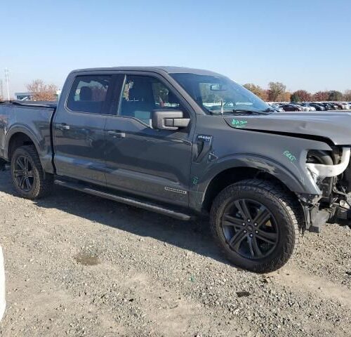 5A8775_0 Used 2021 Ford F-150 Decklid Tailgate