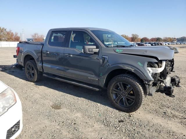 5A8775_0 Used 2021 Ford F-150 Decklid Tailgate