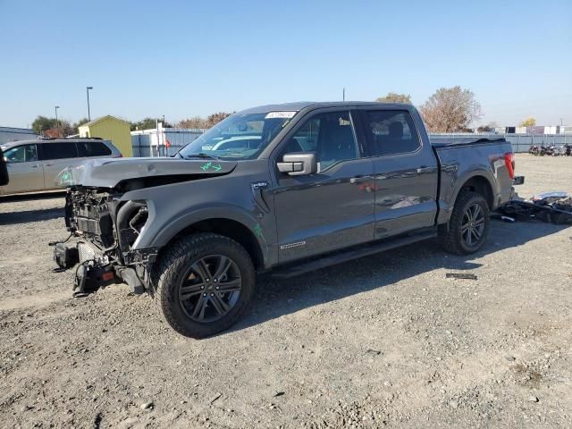 5A8775_15 Used 2021 Ford F-150 Decklid Tailgate
