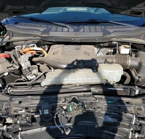 5A8775_17 Used 2021 Ford F-150 Decklid Tailgate