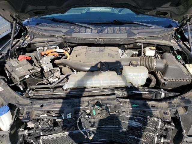 5A8775_17 Used 2021 Ford F-150 Decklid Tailgate