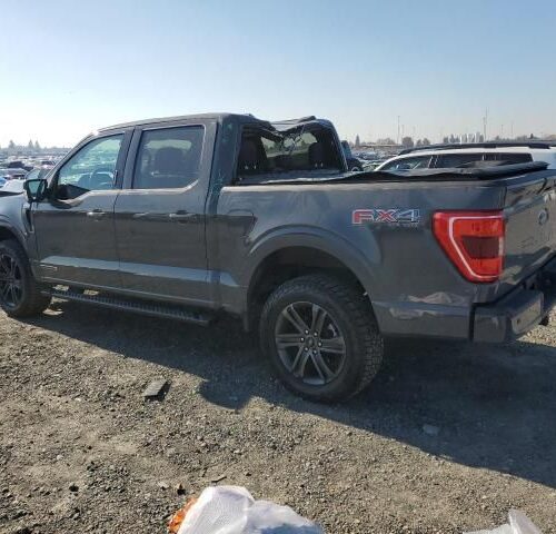5A8775_20 Used 2021 Ford F-150 Decklid Tailgate