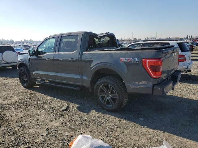 5A8775_20 Used 2021 Ford F-150 Decklid Tailgate