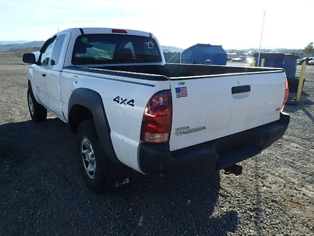 Used 2006 Toyota Tacoma Flywheel / Flex Plate