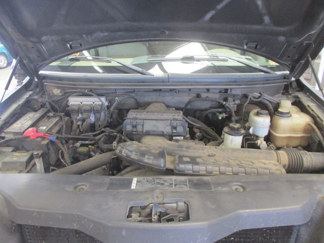 Used 2005 Ford F-150 Bed Liner