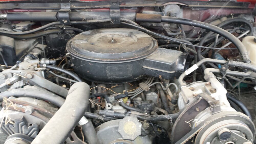 6A7211_1 Used 1989 Ford F-450 Fan Clutch