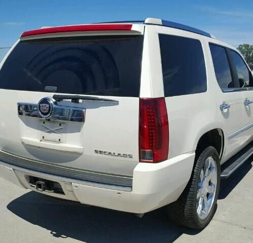 7G7557_0 Used 2009 Cadillac Escalade Decklid Tailgate