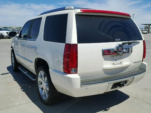 7G7557_10 Used 2009 Cadillac Escalade Decklid Tailgate