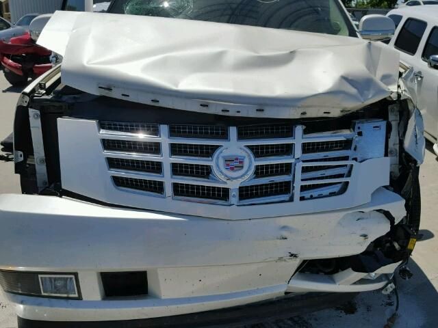 7G7557_6 Used 2009 Cadillac Escalade Decklid Tailgate
