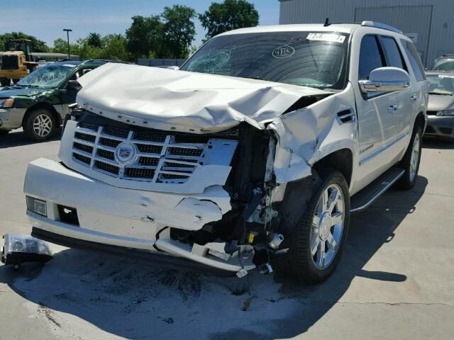 7G7557_7 Used 2009 Cadillac Escalade Decklid Tailgate