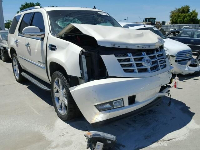 7G7557_8 Used 2009 Cadillac Escalade Decklid Tailgate