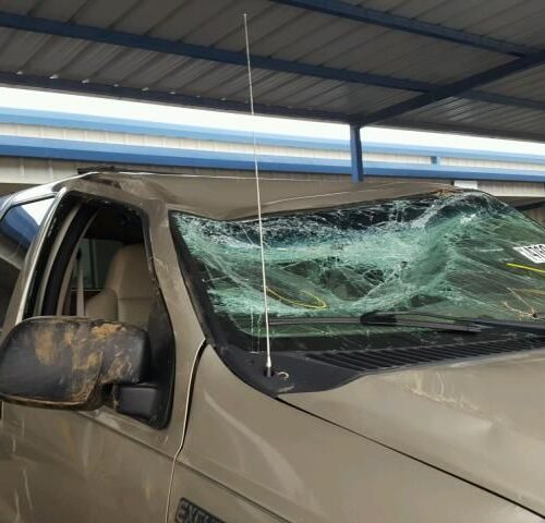 Used 2005 Ford Excursion Door Handle Exterior LH