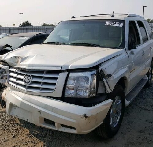 8H7773_0 Used 2004 Cadillac Escalade Decklid Tailgate