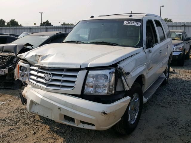 8H7773_0 Used 2004 Cadillac Escalade Decklid Tailgate