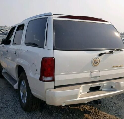 8H7773_10 Used 2004 Cadillac Escalade Decklid Tailgate