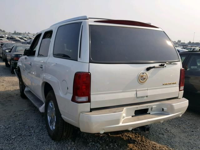 8H7773_10 Used 2004 Cadillac Escalade Decklid Tailgate