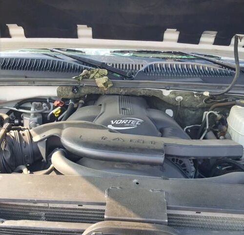 8H7773_4 Used 2004 Cadillac Escalade Decklid Tailgate