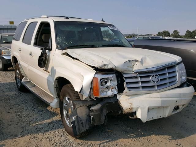 8H7773_6 Used 2004 Cadillac Escalade Decklid Tailgate