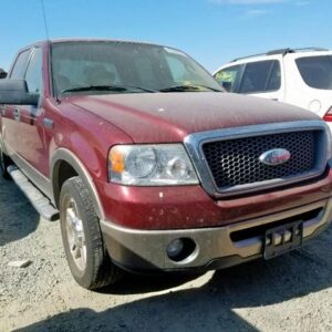 2006 Ford F-150 Door Assembly Rear Side LH